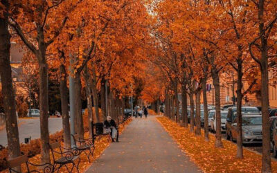 Why October is one of the best months to visit Zagreb